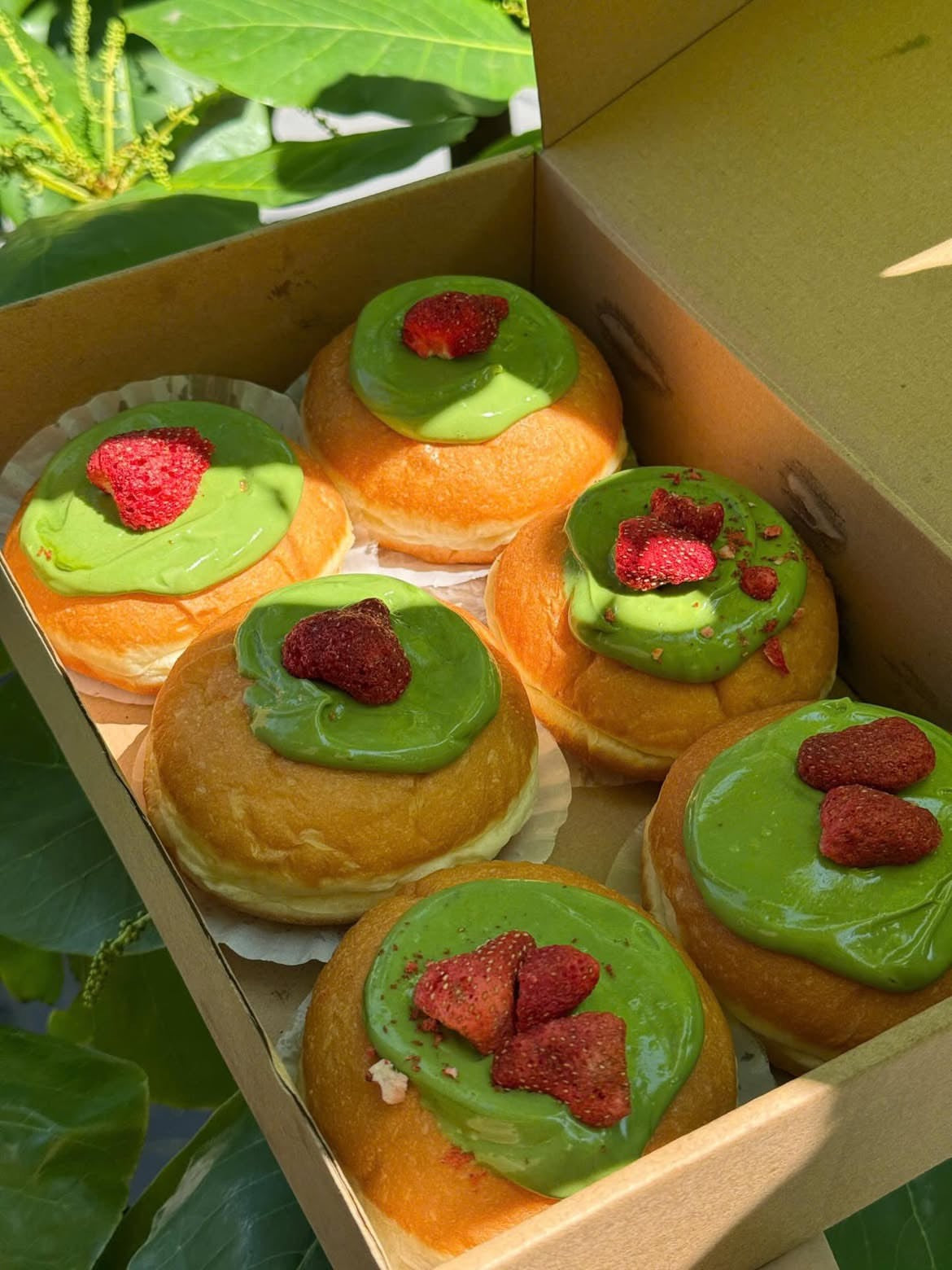 Matcha Bliss Donut